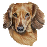 Pet Portrait (coloured pencil) DEPOSIT ONLY
