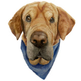 Pet Portrait (coloured pencil) DEPOSIT ONLY