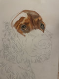 Pet Portrait (coloured pencil) DEPOSIT ONLY