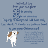 "School Photo" Christmas Card and Decoration Bundle