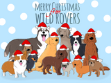 "School Photo" Christmas Card Pack