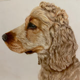 Pet Portrait (coloured pencil) DEPOSIT ONLY