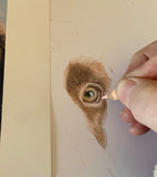 Pet Portrait (coloured pencil) DEPOSIT ONLY