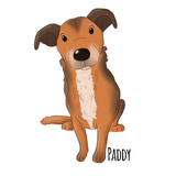 Your Dog's Portrait on a T-Shirt!