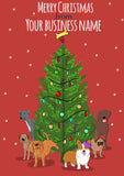 Christmas Cards (pack of 6, 12, 18 or 24 cards)