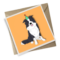 Border Collie Birthday Card