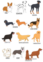 Hanging Decoration (all breeds)