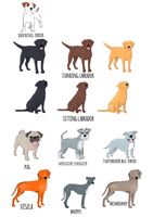 Hanging Decoration (all breeds)