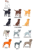 Hanging Decoration (all breeds)