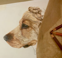 Pet Portrait (coloured pencil) DEPOSIT ONLY